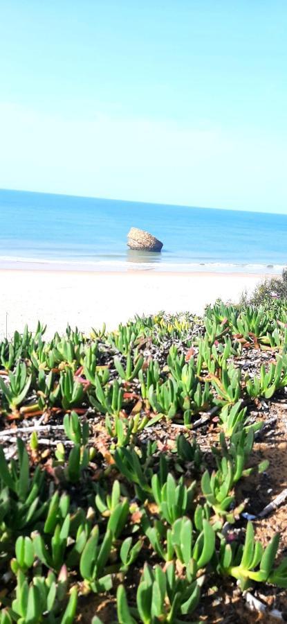 מטלסקנס Caracola Beach מראה חיצוני תמונה